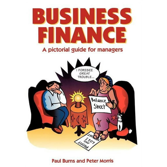 Business Finance : A Pictorial Guide for Managers (Paperback)