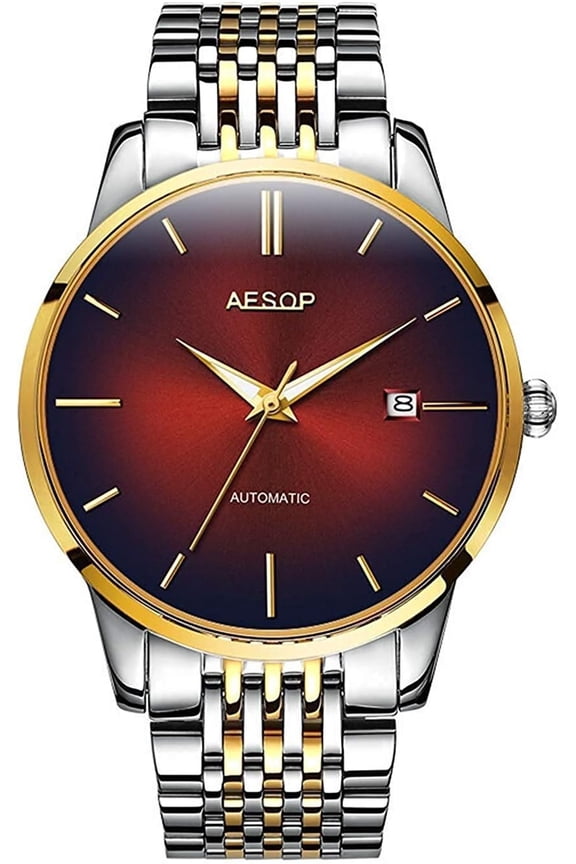 Business Men's Watch Automatic-Self-Wind Ultra-Thin Dial Date with Waterproof Two-Tone Watch