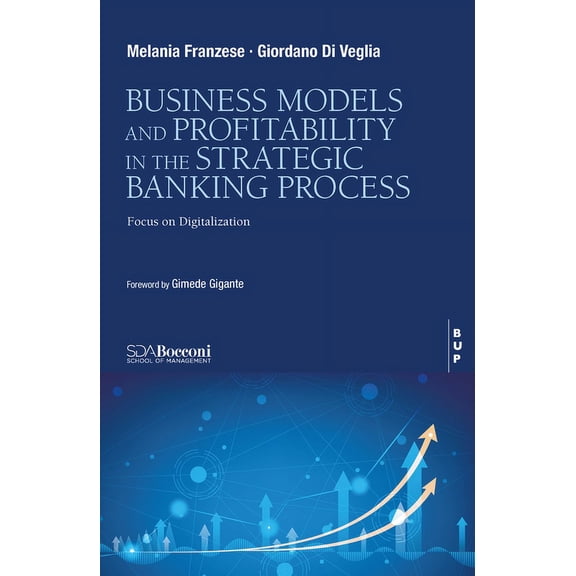 Business Model and Profitability in the Banking Strategic Process: Focus on Digitalization, (Paperback)