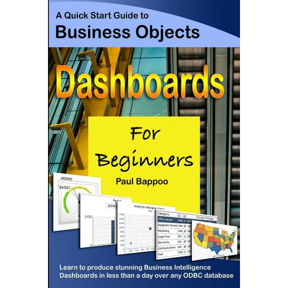 Business Objects Dashboards for Beginners (Paperback)