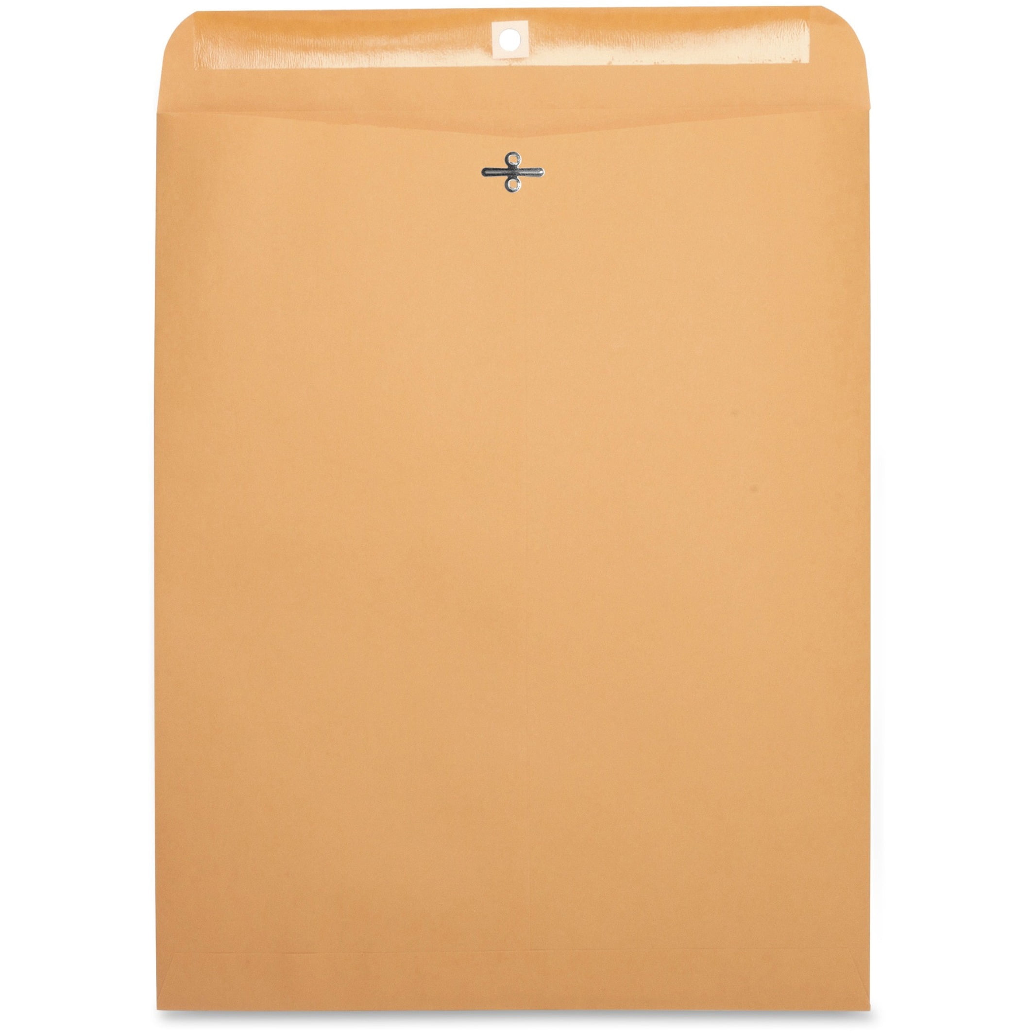 Business Source, BSN36667, Heavy-duty Clasp Envelopes, 100 / Box, Kraft