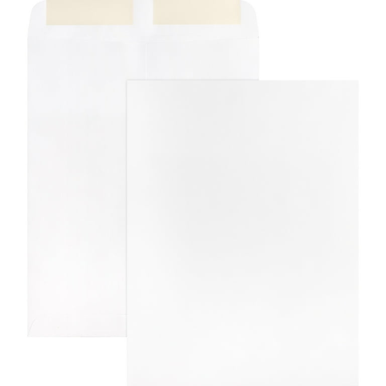 Business Source 28 lb. White Catalog Envelopes - Catalog - #13 1/2 - 10 Business Source 28 lb. White Catalog Envelopes - Catalog - #13 1/2 - 10