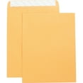 thumbnail image 1 of Business Source, BSN42121, Self Adhesive Kraft Catalog Envelopes, 250 / Box, Brown Kraft, 1 of 2