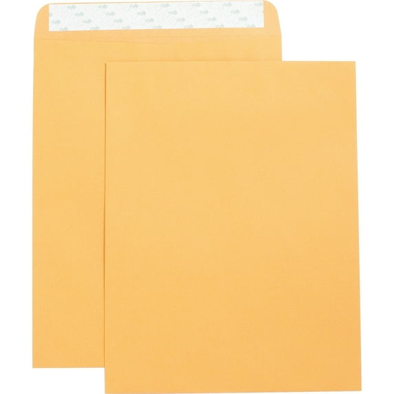 Business Source, BSN42121, Self Adhesive Kraft Catalog Envelopes, 250 / Box, Brown Kraft