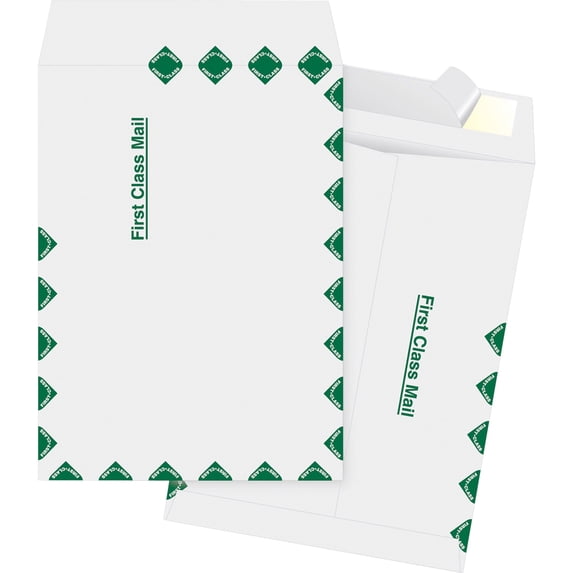 Business Source, BSN65858, DuPont Tyvek Catalog Envelopes, 100 / Box, White