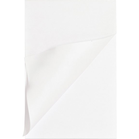 Business Source, BSN65901, Plain Memo Pads, 12 / Dozen