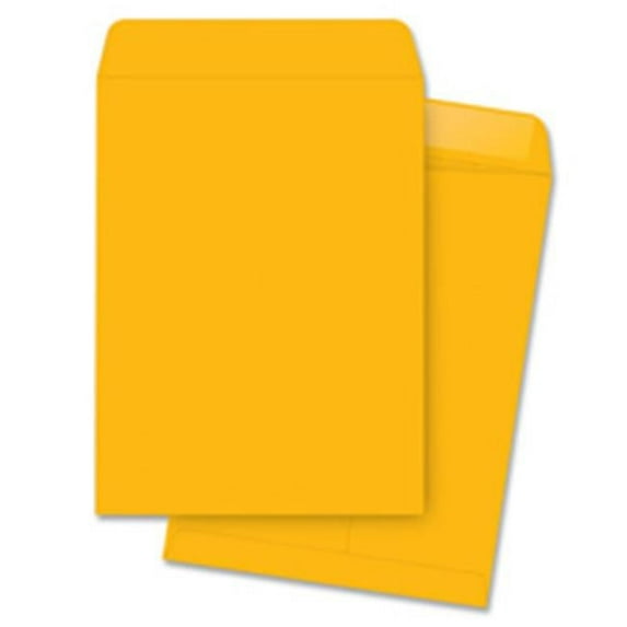 Business Source Catalog Envelopes- Kraft - 6in.x9in.