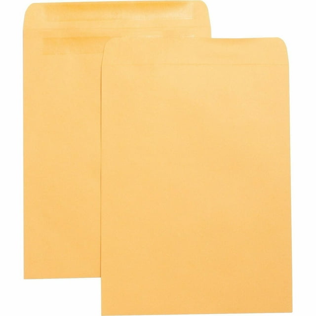 Business Source Press/Seal Catalog Envelopes Plain 10"x13" 100/BX Kraft 42124