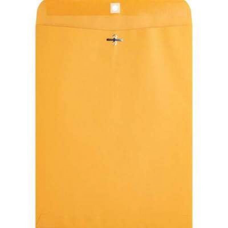 Business Source Heavyduty Clasp Envelopes (36665)