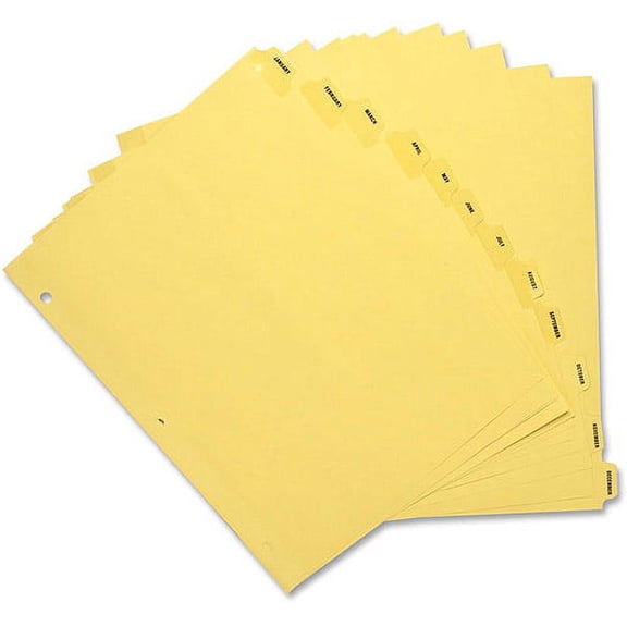 Business Source Monthly Clear Plastic Tab Index Dividers - Printed Tab(s) - Month - January-December - 12 Tab(s)/Set - 8.5" Divider Width x 11" Divider Length - Letter - 3 Hole Pun | Bundle of 5