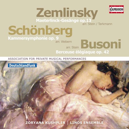 Busoni / Kushpler - Association Private Musical Performances - Music & Performance - CD