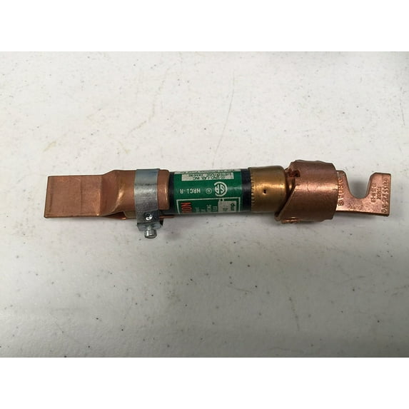 Bussman BP/FRN-R-40 40 Amp 250 Volt Time Delay Cartridge Fuses 2 Count
