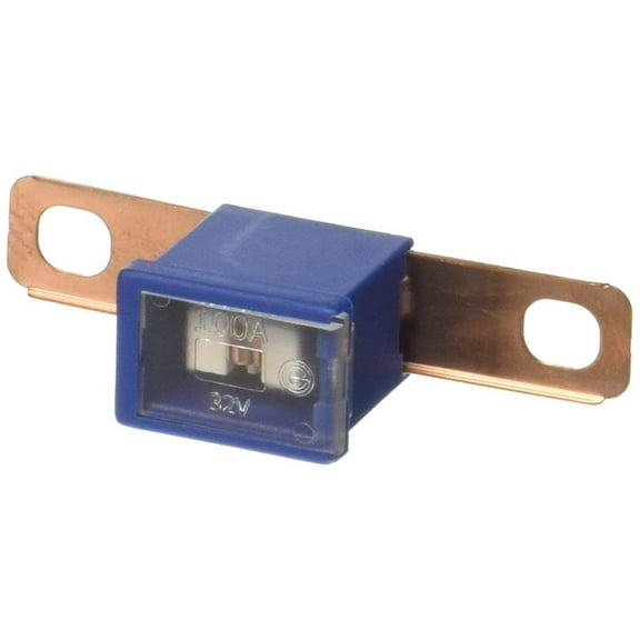 Bussmann BK/FLB-100 (1 EACH)