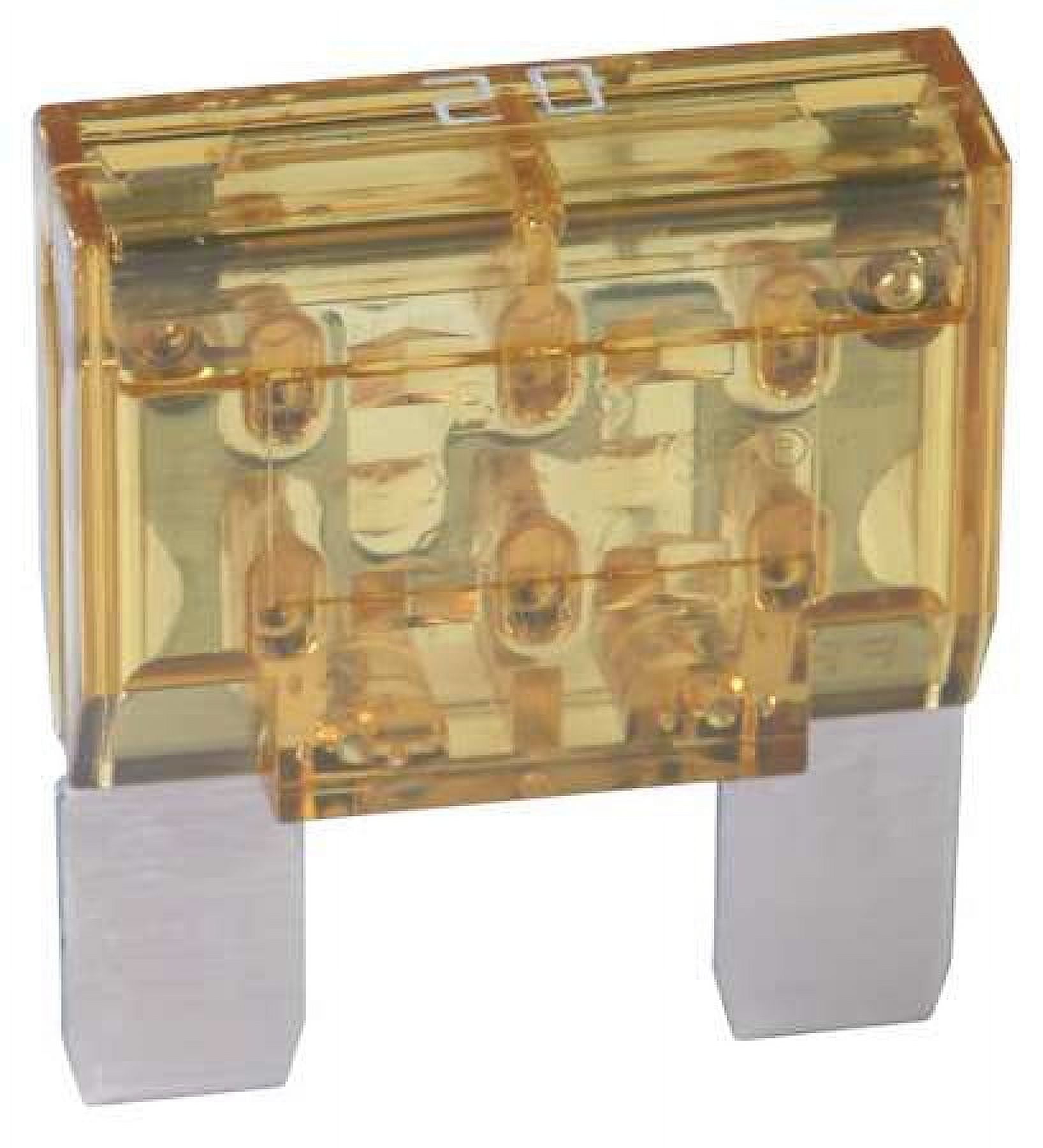 Bussmann Maxi Style Fuse Kit, 20 Amp