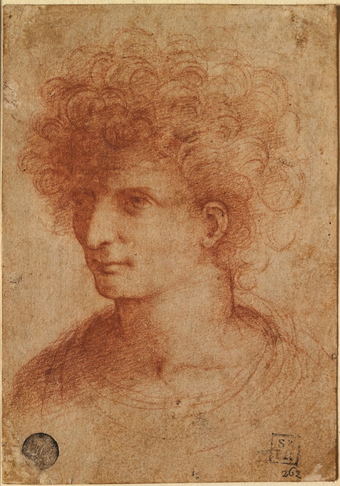 Bust Of Young Canvas Art - (24 x 36)