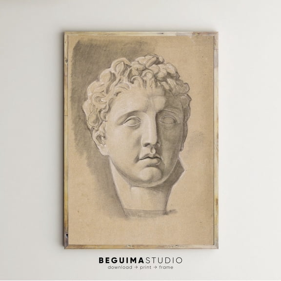 Bust Vintage Aesthetic Sculpture Antique Sketch Drawing Illustration Minimalist Decorative Design Portrait Decor