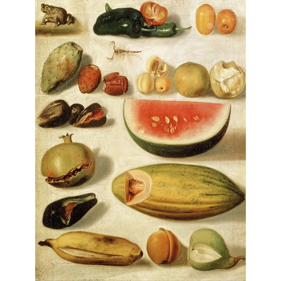 Bustos Still Life With Scorpion Frog Kitchen Fruit Painting Extra Large Art Print Wall Mural Poster Premium XL