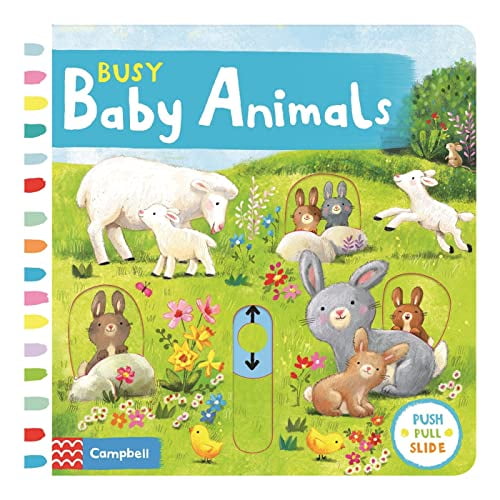Pre-Owned Busy Baby Animals (Campbell Busy Books, 23) Paperback