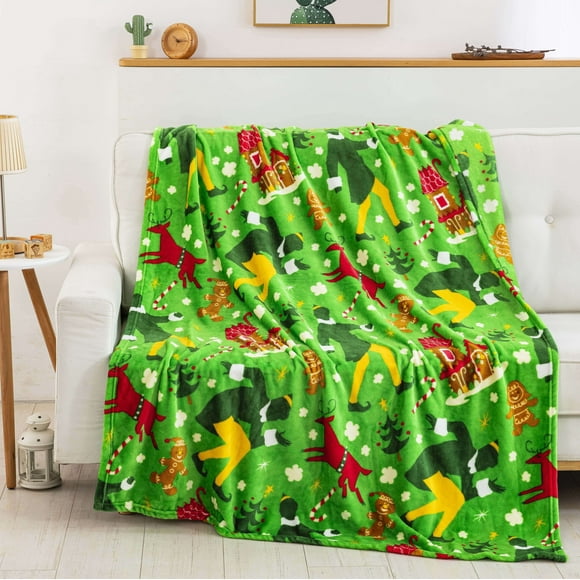 Busy Elf Warner Bros Kids Silk Touch Throw Blanket, 50 x 70 inches Green
