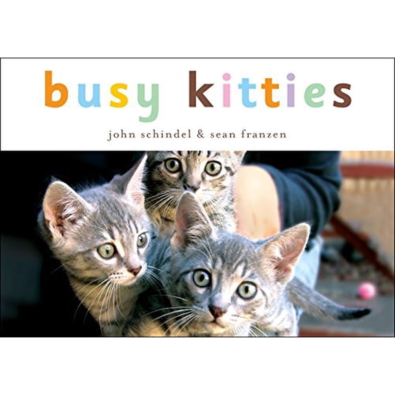 Pre-Owned Busy Kitties (Board book) 1582461309 9781582461304