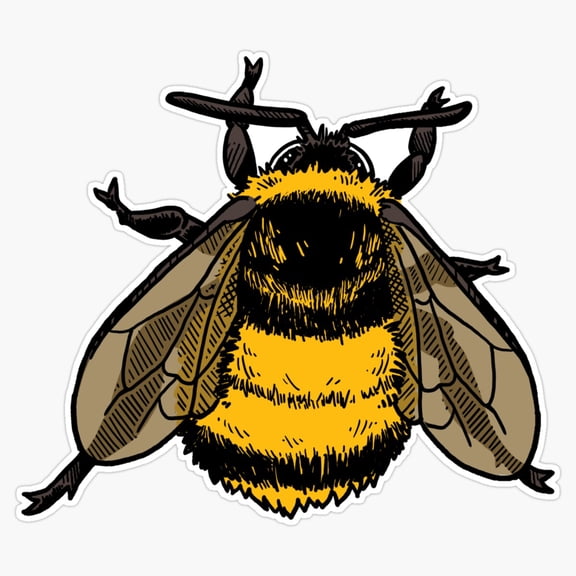 Busy Yellow Bumblebee Insect Meadow Pollinator Wildlife Botanical Flower Decal For Kids Bottle Sticker