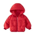 thumbnail image 1 of Busydd Baby Girl Clothes Fashion Unisex Warm Winter Coats Zip Up Puffer Jacket Hooded Toddler Winter Jackets Thermal Down Coat Outerwear with Pockets 12 Months-6 Years, 1 of 6