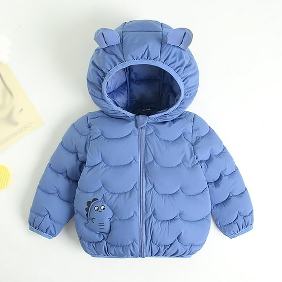 Busydd Boys Winter Coat 2-7 Years Solid Color Hooded Unisex Toddler Puffer Jacket Long Sleeve Warm Zipper Girls Winter Coat with Pockets 2 Years
