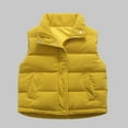 thumbnail image 1 of Busydd Girls Vest 1-12 Years Solid Color Sleeveless Unisex Cotton Winter Jacket Comfortable Lapel Button Zip Boys Winter Coat Thermal Baby Winter Clothes with Pockets 11 Years, 1 of 4