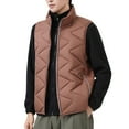 thumbnail image 1 of Busydd Down Vest Men Warm Winter Stand Collar Sleeveless Quilted Vest Fashion Casual Solid Color Zipper Oversized Puffer Vest for Men with Pockets 3XL, 1 of 6