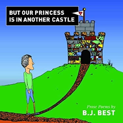Pre-Owned But Our Princess Is in Another Castle (Paperback) 0984616683 9780984616688