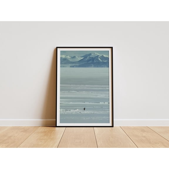 But Why Penguin Poster, Motivational Penguin Wall Art, Unframed Paper Poster 8x10in
