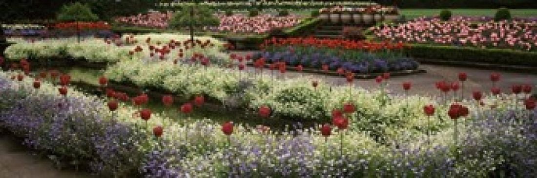 Butchart Gardens Brentwood Bay Vancouver Island Canada Canvas Art - Panoramic Images (36 x 12)
