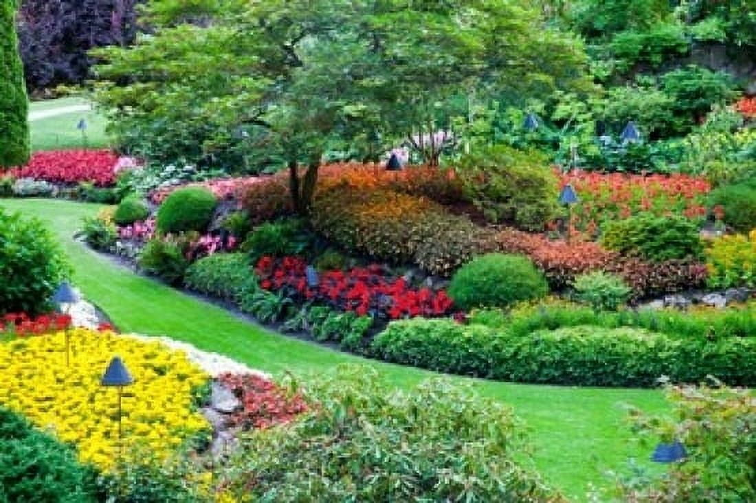 Butchart Gardens in Full Bloom Victoria British Columbia Canada Canvas Art - Terry Eggers DanitaDelimont (36 x 24)