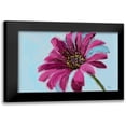 thumbnail image 1 of Butcher, Sarah 14x11 Black Modern Framed Museum Art Print Titled - Daisy Crazy, 1 of 5