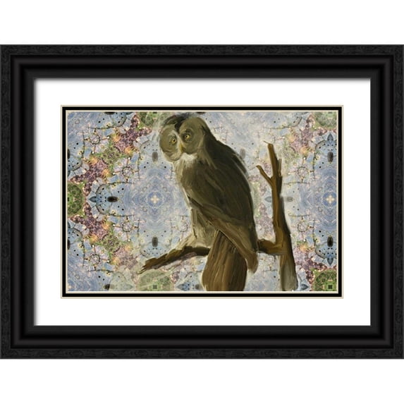 Butcher, Sarah 14x11 Black Ornate Wood Framed with Double Matting Museum Art Print Titled - Wise Owl
