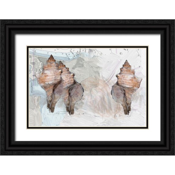 Butcher, Sarah 24x17 Black Ornate Wood Framed with Double Matting Museum Art Print Titled - Maps And Shells