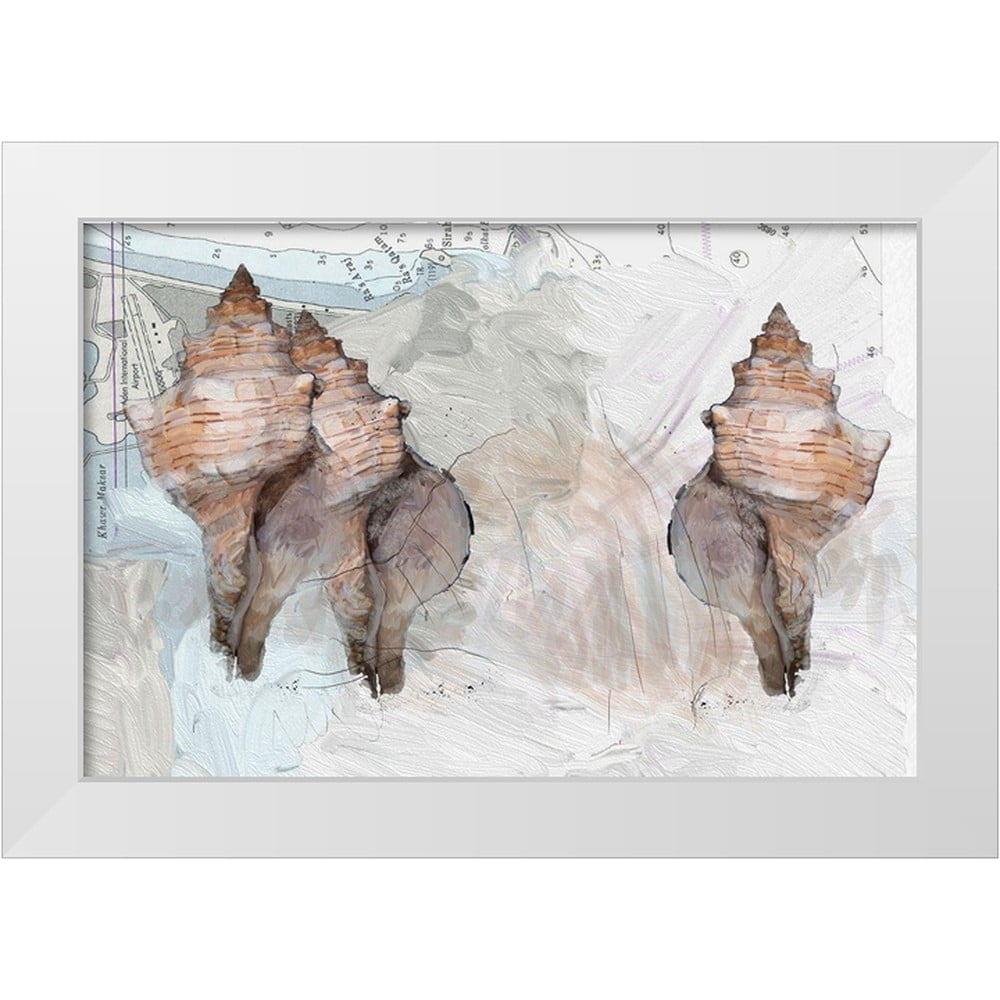 Sarah Heppner Shells Butcher, Sarah 24x17 White Modern Wood Framed Museum Art Print Titled ...