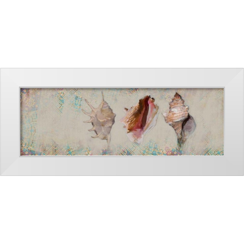 Sarah Heppner Shells Butcher, Sarah 32x13 White Modern Wood Framed Museum Art Print Titled ...