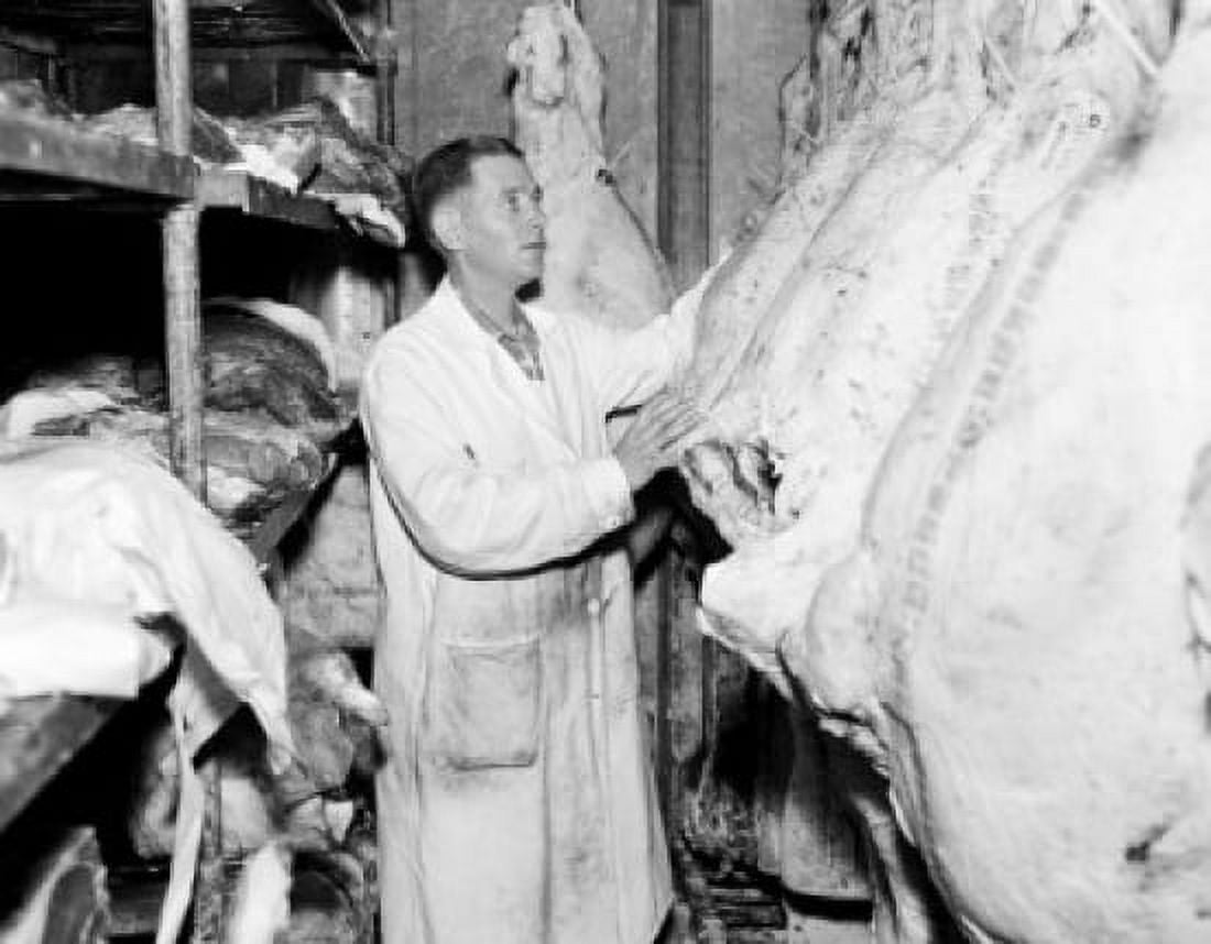 Butcher inspecting beef at butchers shop Canvas Art - (18 x 24)