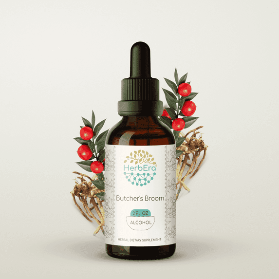 HerbEra Butcher's Broom Tincture, Herbal Dietary Supplement for Circulatory Support, Butcher's Broom (Ruscus aculeatus) Dried Root Extract, Natural, Alcohol Tincture, Drops 2 oz