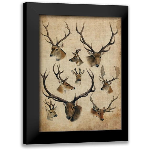 Butler, John 11x14 Black Modern Framed Museum Art Print Titled - American Trophy II