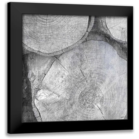Butler, John 12x12 Black Modern Framed Museum Art Print Titled - Logging Light V