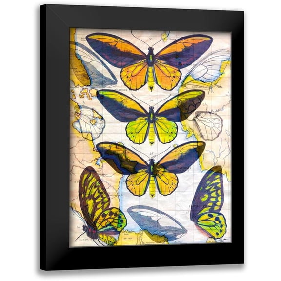 Butler, John 12x14 Black Modern Framed Museum Art Print Titled - Butterfly Map I