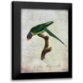 thumbnail image 1 of Butler, John 12x14 Black Modern Framed Museum Art Print Titled - Parrot Jungle IV, 1 of 5