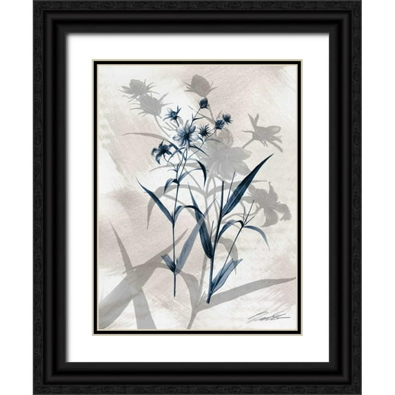 Butler, John 12x14 Black Ornate Wood Framed with Double Matting Museum Art Print Titled - Indigo Bloom IV