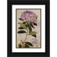 thumbnail image 1 of Butler, John 13x18 Black Ornate Wood Framed with Double Matting Museum Art Print Titled - Rhododendron II, 1 of 4