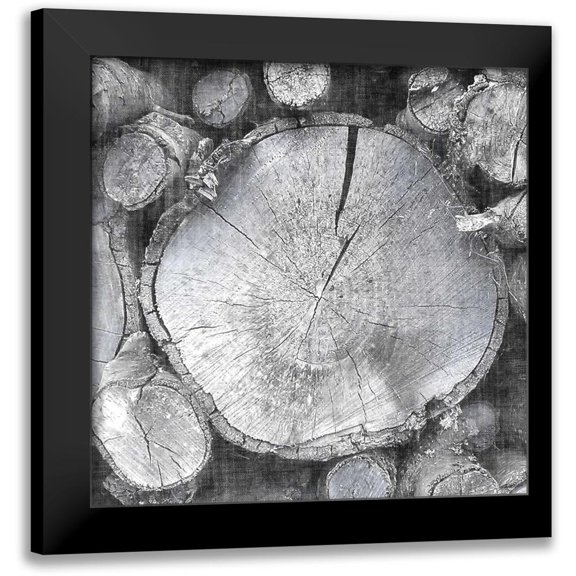 Butler, John 15x15 Black Modern Framed Museum Art Print Titled - Logging Light VI