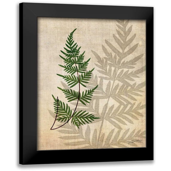 Butler, John 15x17 Black Modern Framed Museum Art Print Titled - British Ferns III