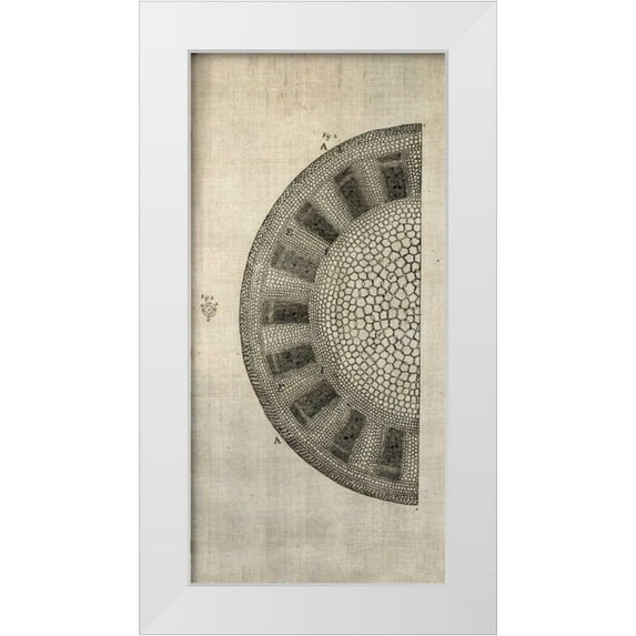 Butler, John 17x32 White Modern Wood Framed Museum Art Print Titled - Cross Cut I Left
