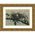 thumbnail image 1 of Butler, John 18x13 Gold Ornate Wood Framed with Double Matting Museum Art Print Titled - Nesting III, 1 of 4